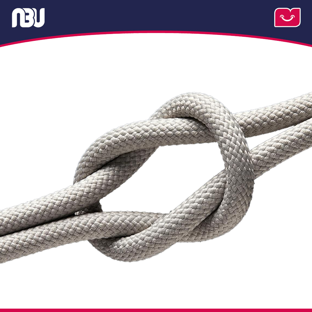 کابل شارژ سریع بیسوس100وات کد P10319800G21- 00 شناسه 655600